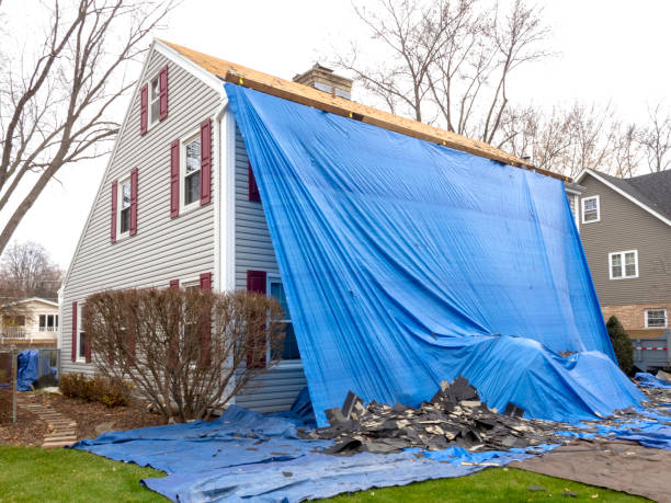 Best Storm Damage Siding Repair  in West Monroe, LA